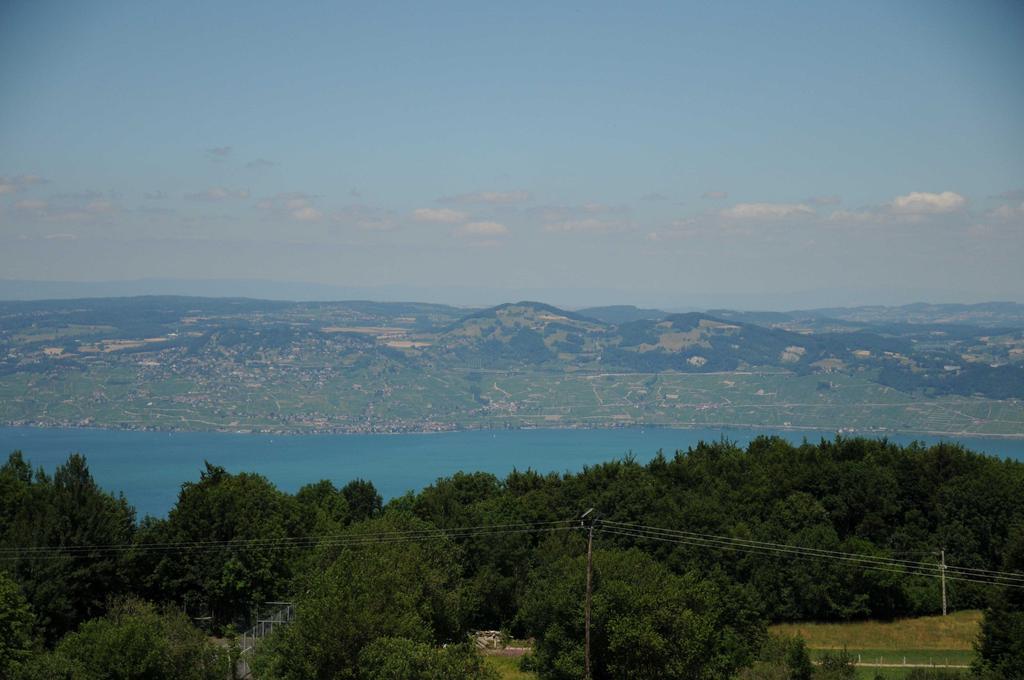 Studio Les Iris 18 Station Thollon Les Memises Daire Oda fotoğraf